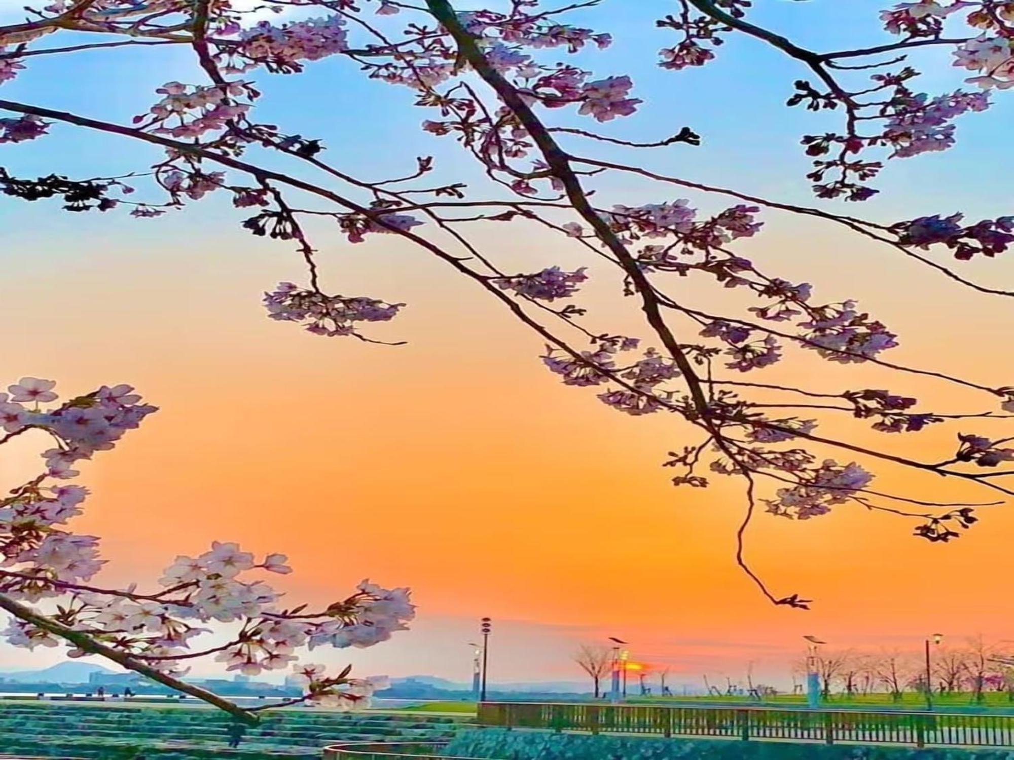 Lake Biwa Otsu Prince Hotel Exterior photo